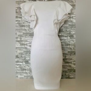 Elegant White Ruffle Sleeve Dress